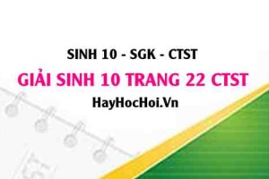 Giải Sinh 10 trang 22 Chân trời sáng tạo SGK